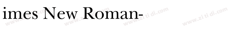 imes New Roman字体转换
